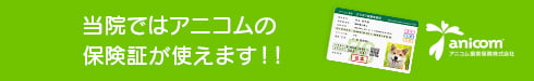 当院ではアニコムの保険証が使えます！！